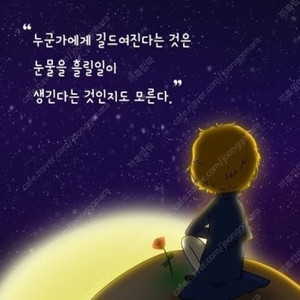라이즈 티켓 매입합니다