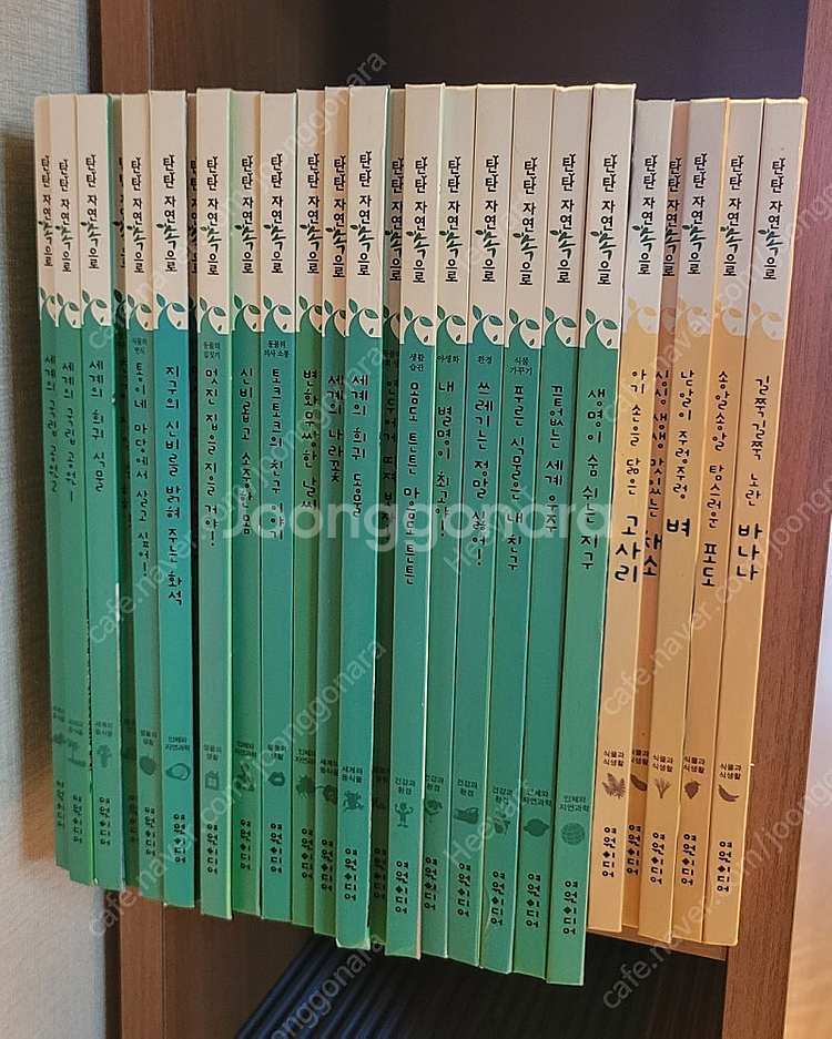 여원 - 탄탄 자연속으로--0