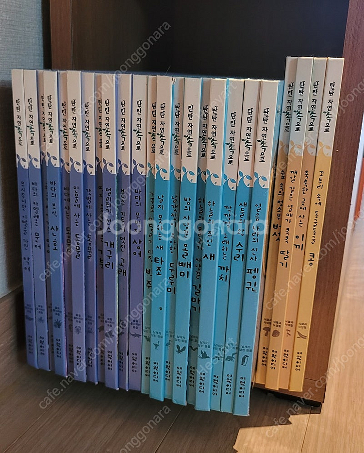 여원 - 탄탄 자연속으로--1