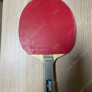 비스카리아ALC 탁구라켓
