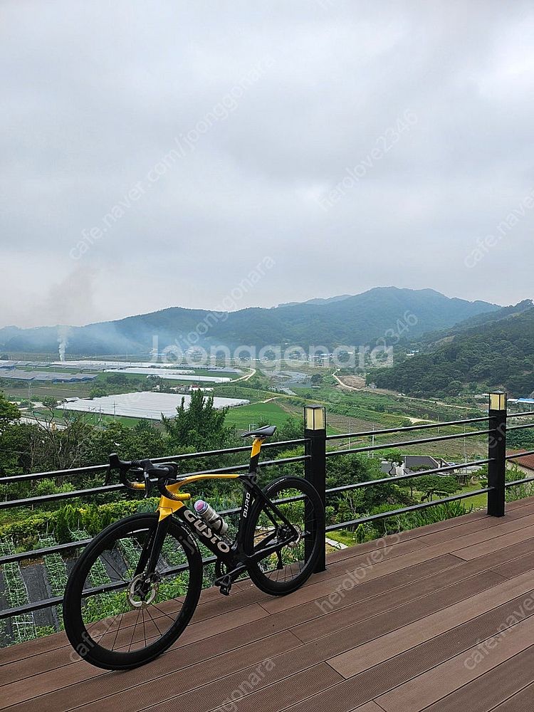 거스토 듀로 프로 울테그라Di2--0