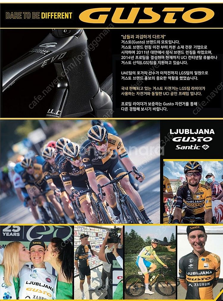 거스토 듀로 프로 울테그라Di2--8