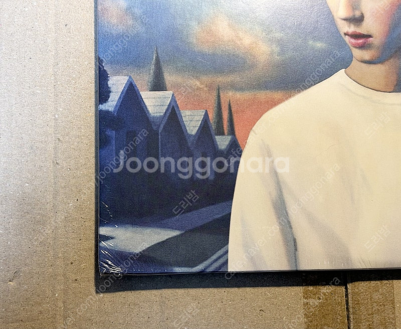트로이시반 1집 블루 네이버후드 컬러 lp 한정판 미개...--2