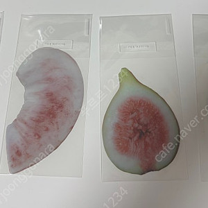 옥토님 책갈피 4종류 세트판매(배송비x)