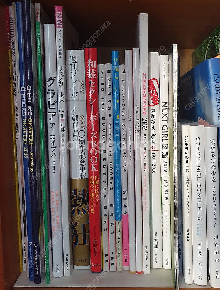 일본 그라비아 잡지 , 사진집 판매합니다 (15권 , ...--0