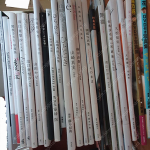 일본 그라비아 모델 사진집 판매합니다 (가격수정, 25권)