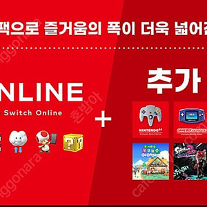1명) 닌텐도 패밀리 추가팩 멤버 구합니다 스위치