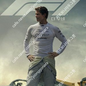 CGV 아이맥스, 4DX/CGV, 롯데시네마, 메가박스/ 일반 및 리클라이너, 컴포트관, 수퍼플렉스, MX4D 등