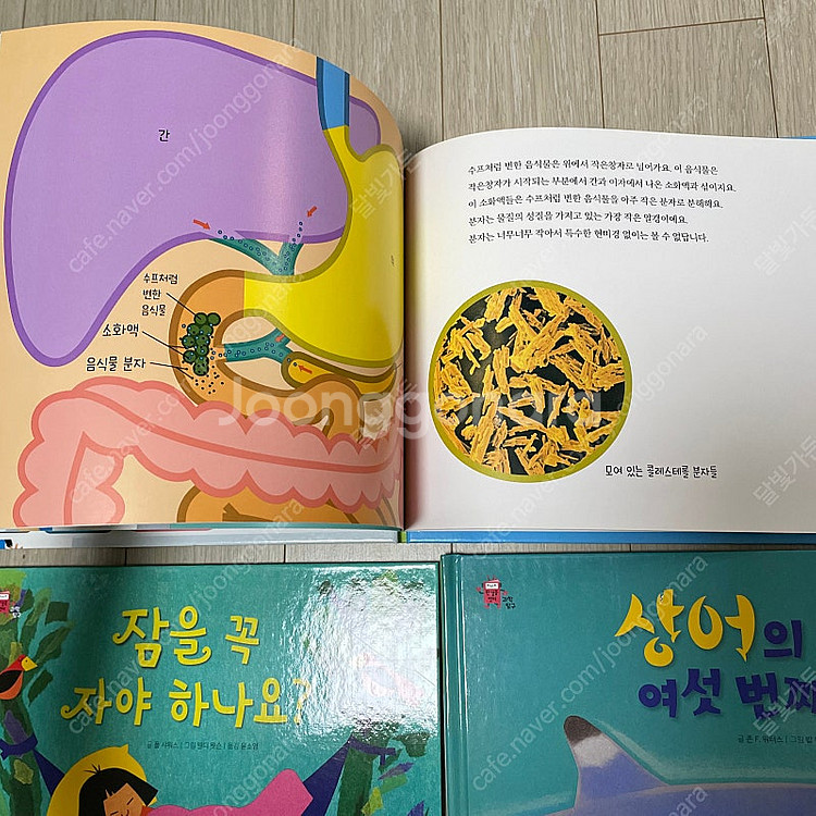 웅진북클럽 한걸음먼저 과학탐구(2024년구입) 택포 4...--6