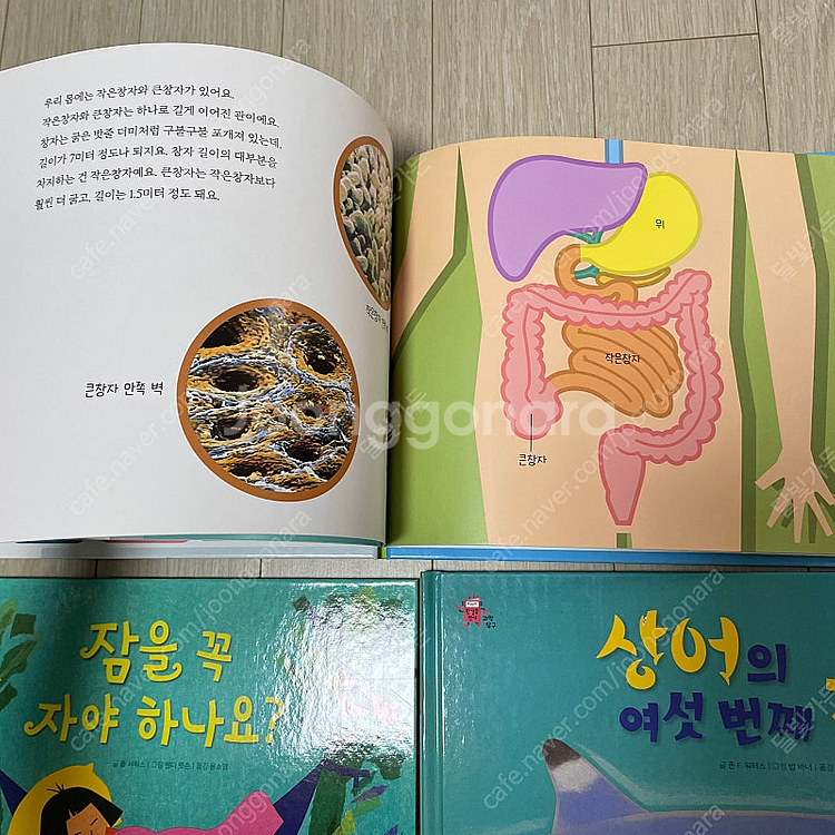 웅진북클럽 한걸음먼저 과학탐구(2024년구입) 택포 4...--7