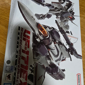 DX초합금 VF-171EX 아머드 나이트메어 플러스 EX 사오토메 알토기 리바이벌 Ver.