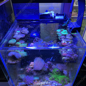 1950x 2950x 삽니다 이미지