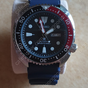 세이코 다이버 펩시