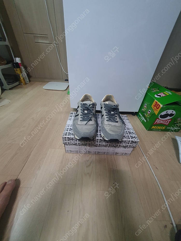 프리미아타 에릭 43 이미지