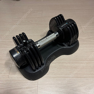 이고진 무게 조절 덤벨 11kg