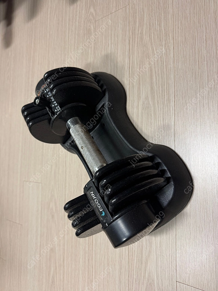 이고진 무게 조절 덤벨 11kg 이미지