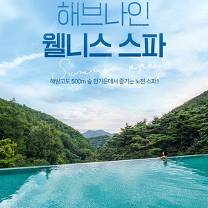 제천 리솜 해브나인 힐링스파 주말 3장