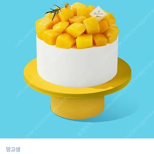 투썸 망고 생크림 케이크 쿠폰