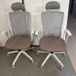 시디즈 T20 메쉬의자 2개