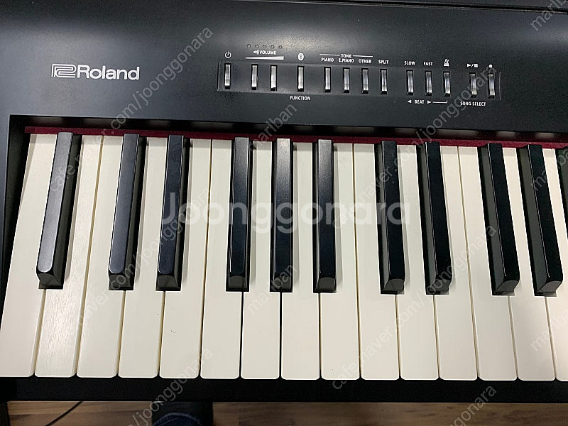 roland fp-30--1