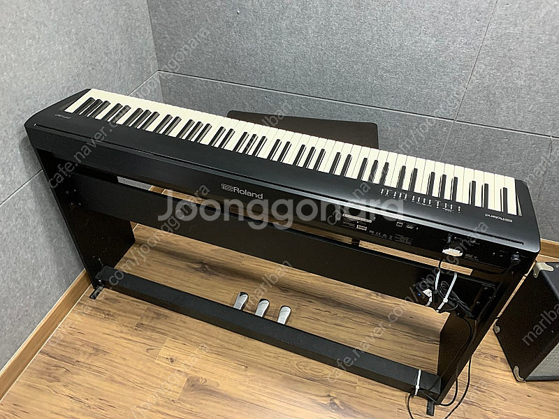roland fp-30--3