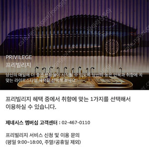 제네시스 GV80 프리빌리지 판매