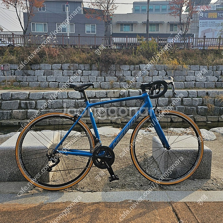 메리다 스컬트라 400 로드 자전거 (캄파놀로 존다 휠...--0