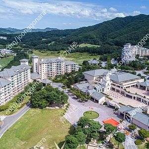 (여름휴가) 엘리시안강촌/오크밸리/모나용평/무주/비체팰리스/디오션리조트