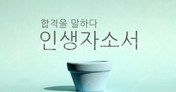 인사팀 채용담당자 출신의 자소서 첨삭 대필 자기소개서 ...--2