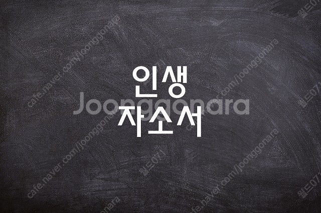 인사팀 채용담당자 출신의 자소서 첨삭 대필 자기소개서 ...--4