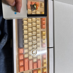 메이플 프라임 키보드 & 검마 장패드 세트로만 팝니다.