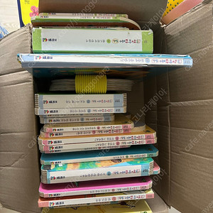프뢰벨 영아다중 책+다른 책들