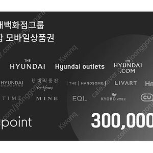 현대백화점 모바일교환권 30만원