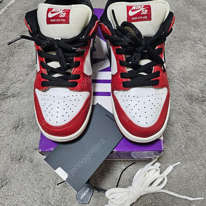 나이키 SB 덩크 로우 프로 시카고(265)