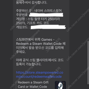 스팀 윌렛 터키 250리라 250TL 기프트카드