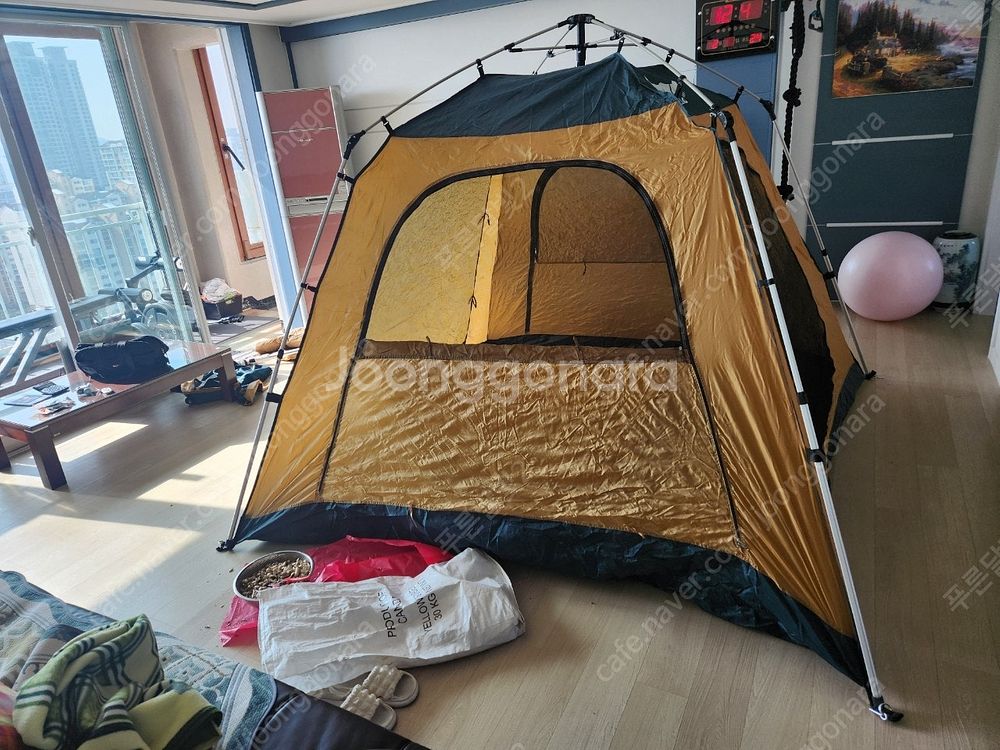 7인용 버팔로 오토 원터치 7인용 텐트 + 바닥 깔개 ...--1