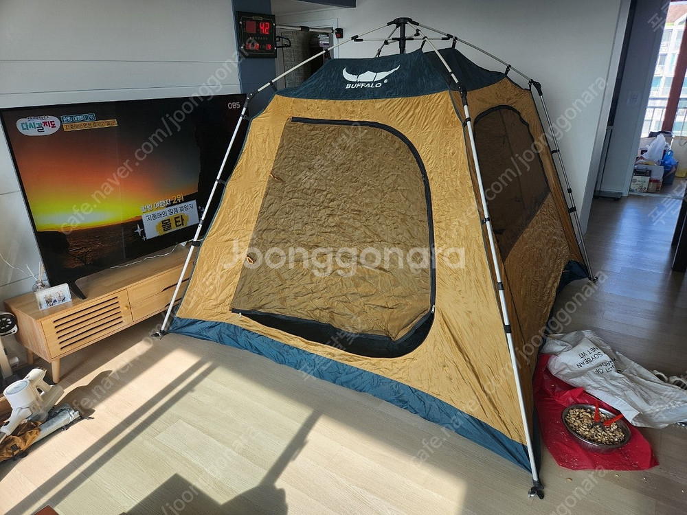 7인용 버팔로 오토 원터치 7인용 텐트 + 바닥 깔개 ...--2