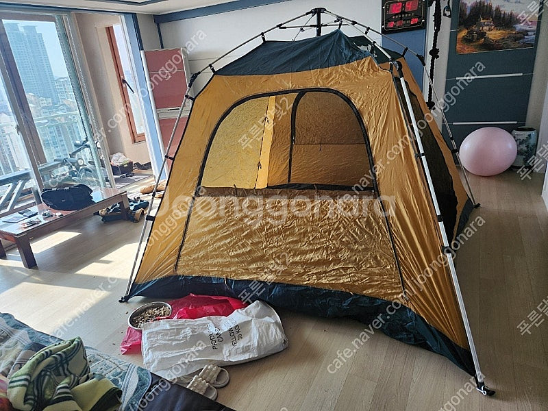 7인용 버팔로 오토 원터치 7인용 텐트 + 바닥 깔개 ...--0