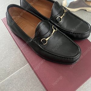 까르미나 홀스빗 6.5