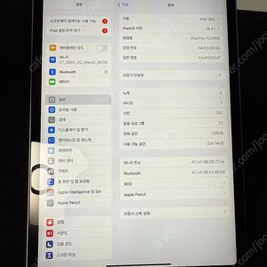 아이패드 프로 11 m1 256GB Wifi + 애플펜슬