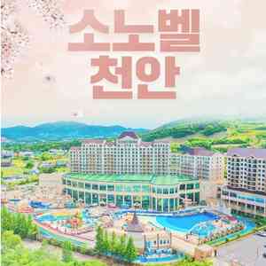@7월12토19토~쏠비치 삼척/진도/양양~파나크영덕~오크밸리~소노벨 천안~소노캄 거제~소노밸 단양/청송/변산 초특가