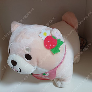 (새상품) 모찌시바 딸기 스탠딩 사쿠라 봉제 인형 25cm