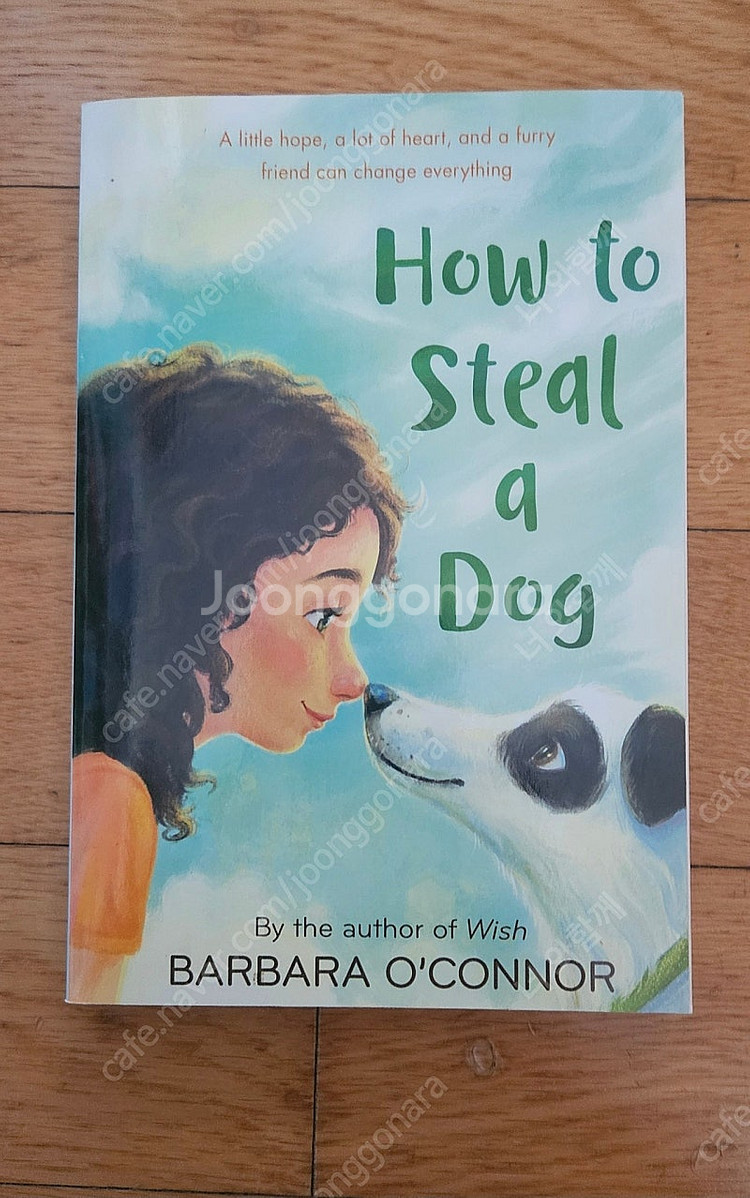 영어원서 / 잠수네 / 뉴베리 /how to steal...--2