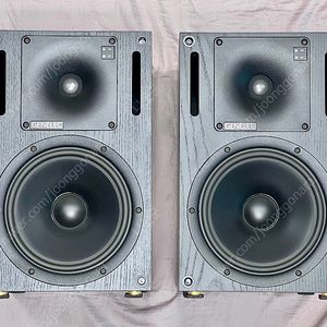 Genelec 1031A