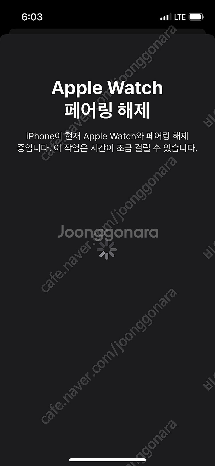 애플워치10에르메스 42mm--3