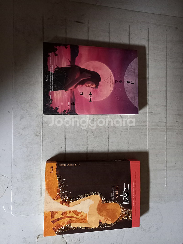 기욤 뮈소 아가씨와 밤 그후에 총2권 (배송비 별도)--0