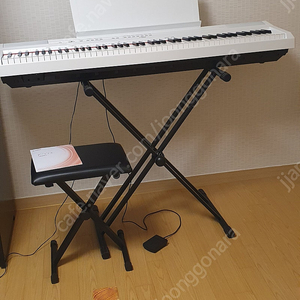 디지털피아노 야마하 p_115 화이트