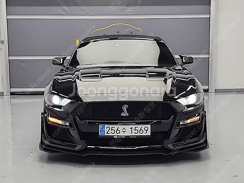 43,594 km 포드 머스탱 중고 포드 중고차 GT ...--7