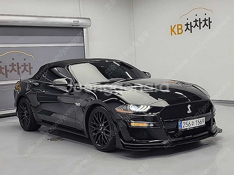 43,594 km 포드 머스탱 중고 포드 중고차 GT ...--9