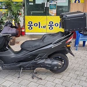 버그만400